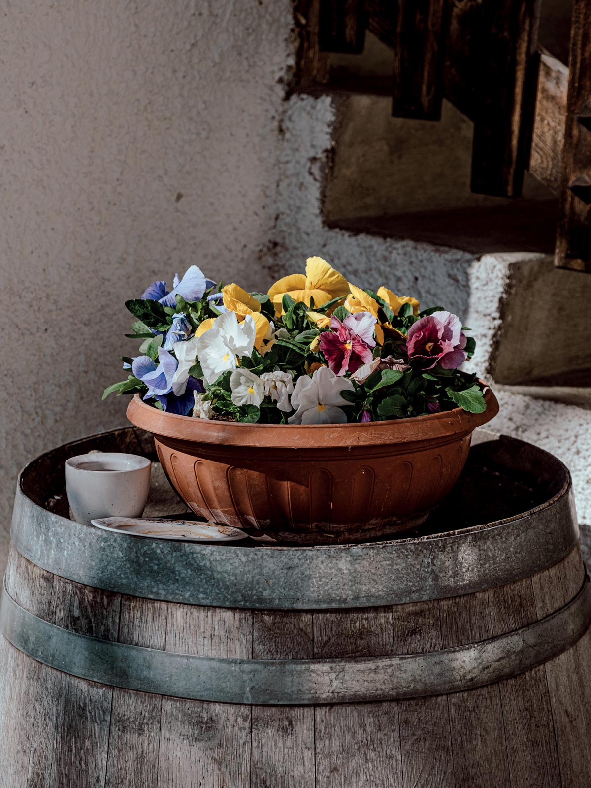 Blumentopf mit bunten Stiefmütterchen auf Holzfass bei Treppe
