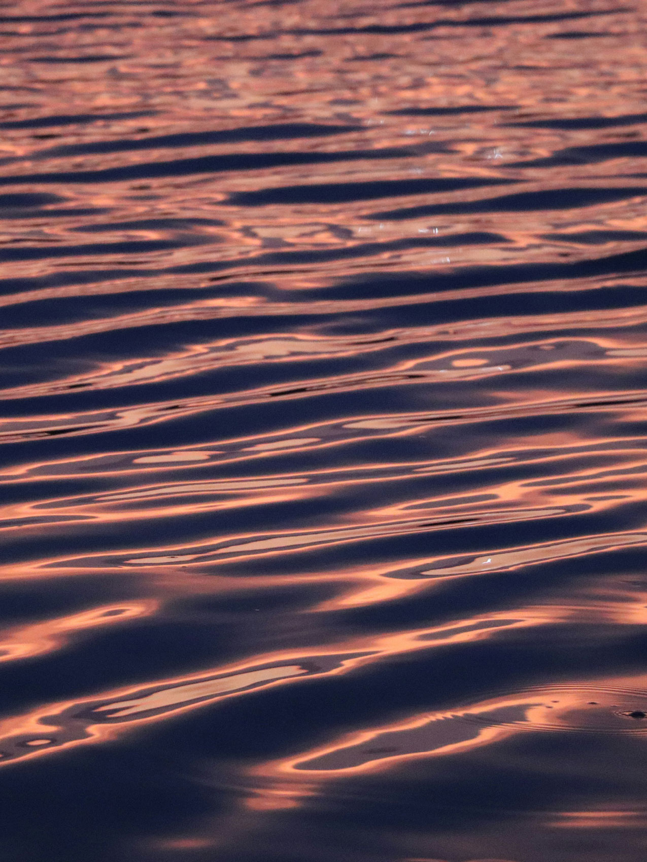 Ruhige Wasseroberfläche bei Sonnenuntergang mit rosa Reflektionen