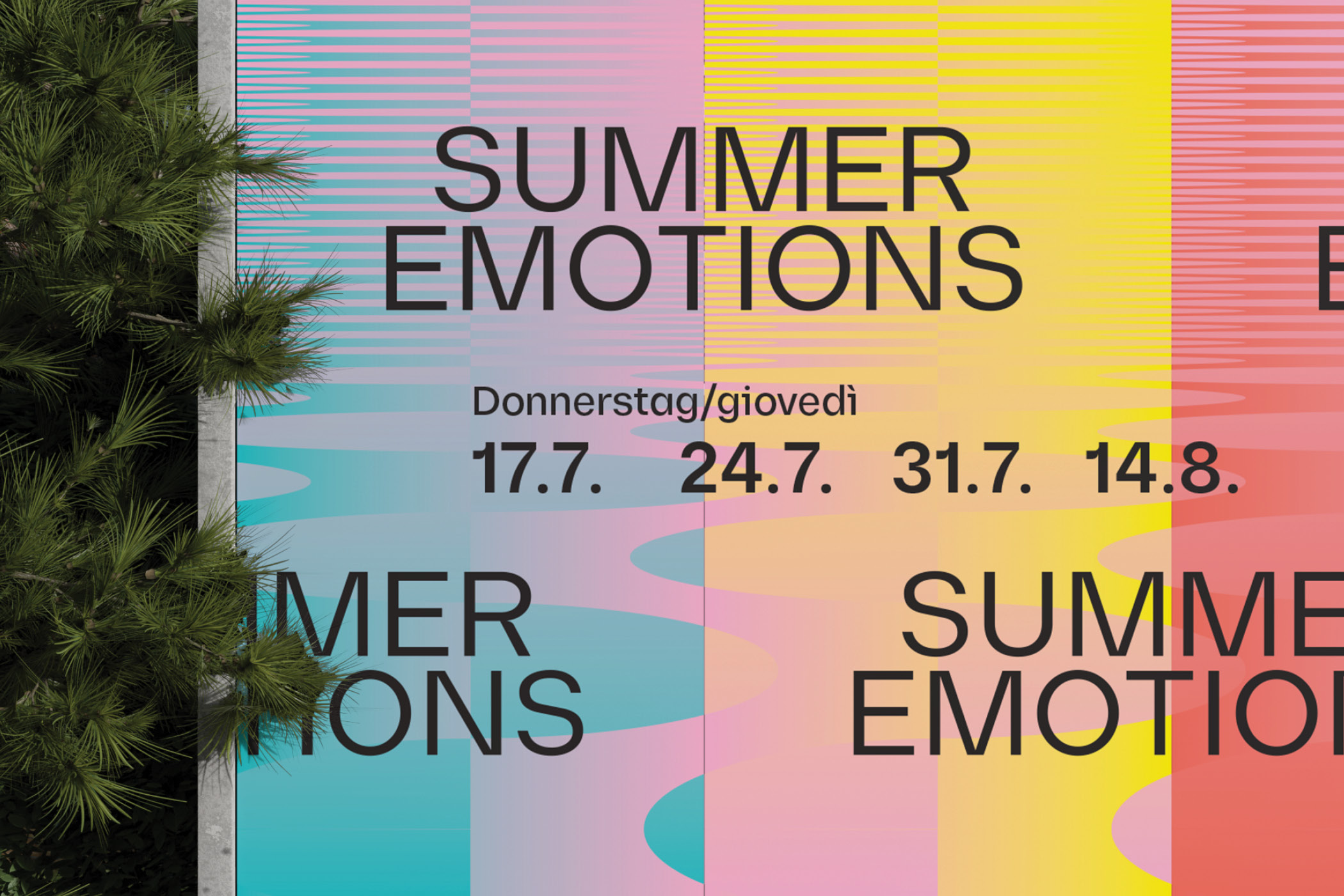 Bunter Posterdesign mit Text 'Summer Emotions', Termine 17.7. bis 14.8., Hintergrund Strahlenmuster, links Pflanzen.