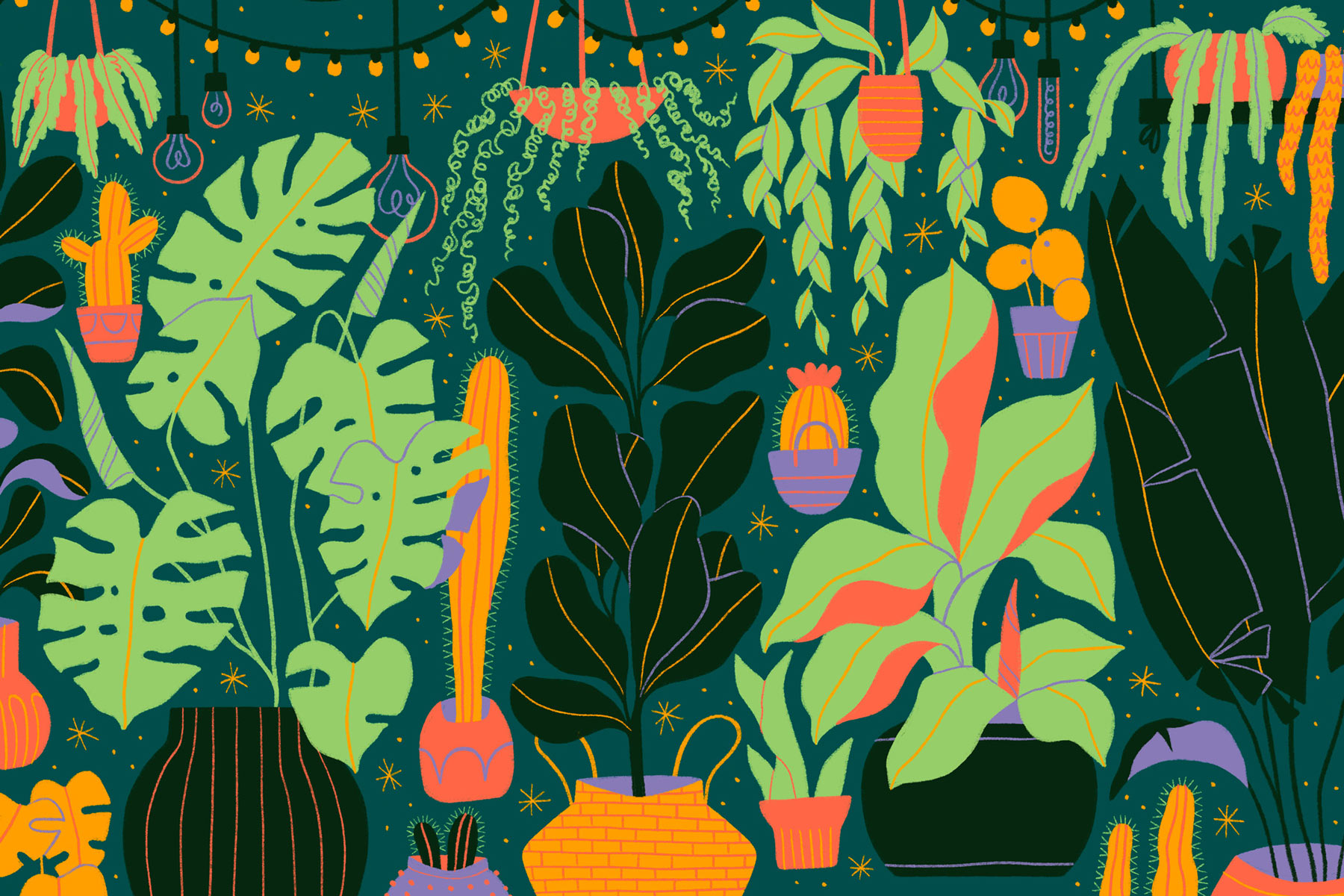 Illustration von exotischen Pflanzen in bunten Töpfen auf dunklem Hintergrund.