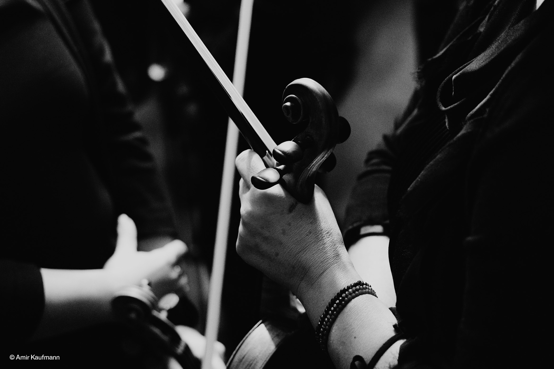 Nahaufnahme eines Violinenhalses in Schwarzweiß