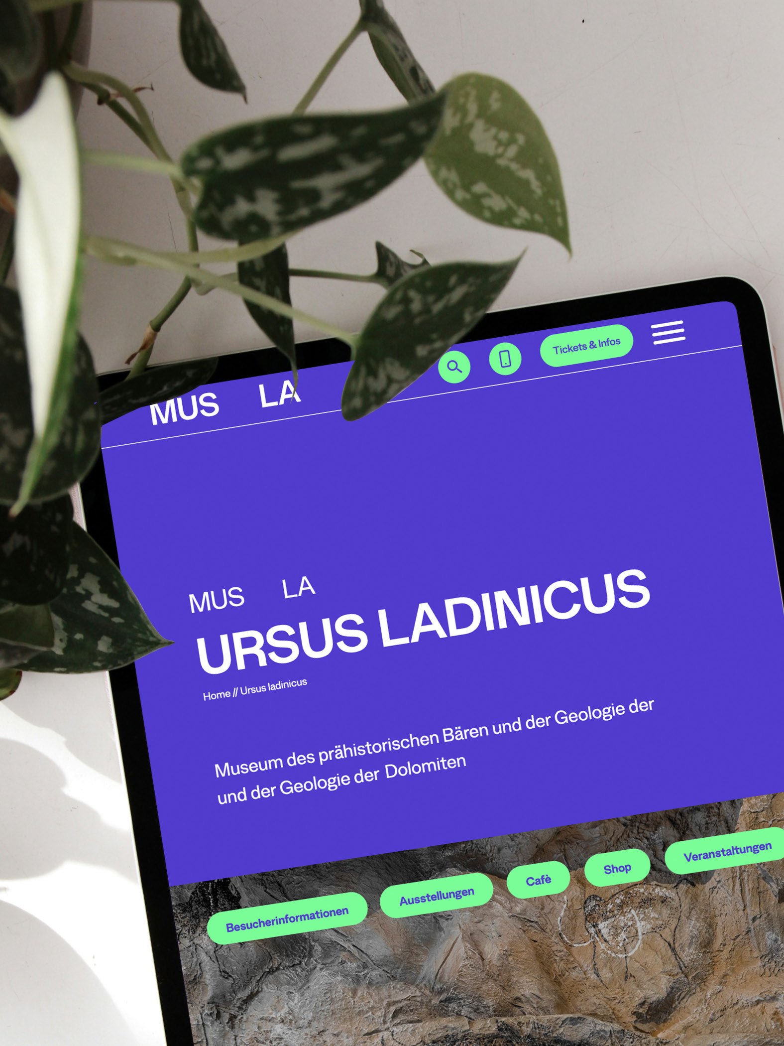 Tablet zeigt Website des Ursus Ladinicus Museums